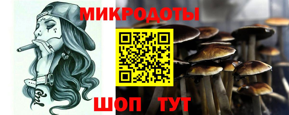 Набережные Челны  Псилоцибиновые грибы Magic Shrooms  Галлюциногенные грибы Psilocybe  Вход с VPN 